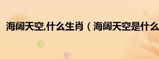 海阔天空,什么生肖（海阔天空是什么生肖）
