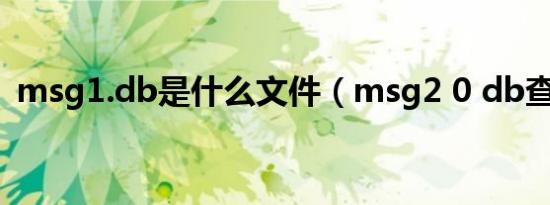 msg1.db是什么文件（msg2 0 db查看器）