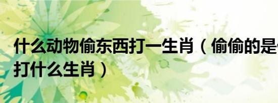 什么动物偷东西打一生肖（偷偷的是什么动物打什么生肖）