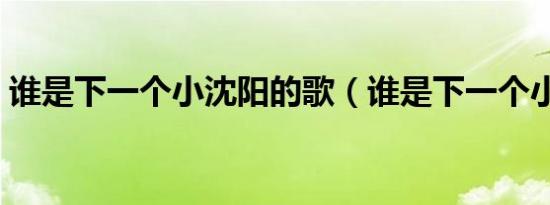 谁是下一个小沈阳的歌（谁是下一个小沈阳）