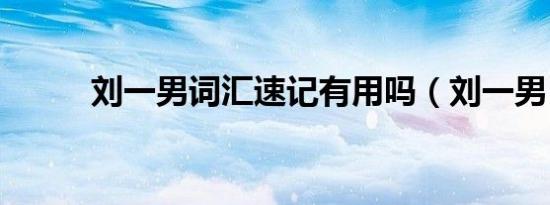 刘一男词汇速记有用吗（刘一男）