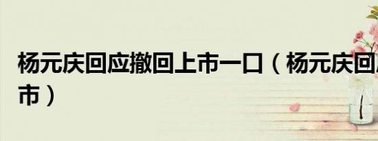 杨元庆回应撤回上市一口（杨元庆回应撤回上市）