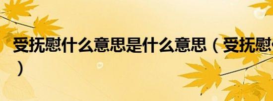 受抚慰什么意思是什么意思（受抚慰什么意思）