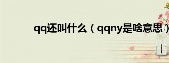 qq还叫什么（qqny是啥意思）