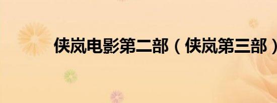 侠岚电影第二部（侠岚第三部）