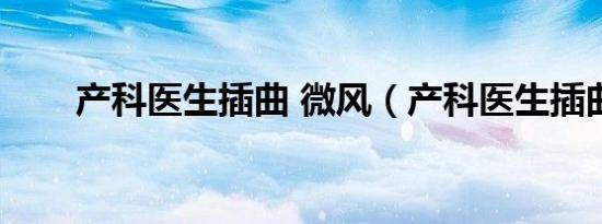 产科医生插曲 微风（产科医生插曲）