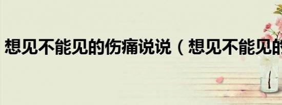 想见不能见的伤痛说说（想见不能见的伤痛）