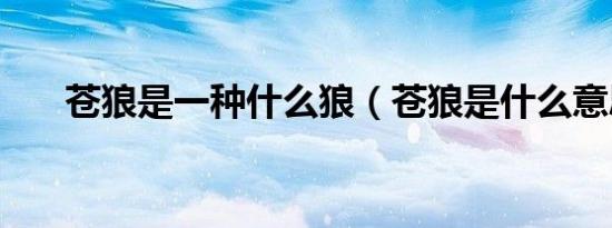 苍狼是一种什么狼（苍狼是什么意思）