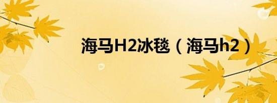 海马H2冰毯（海马h2）