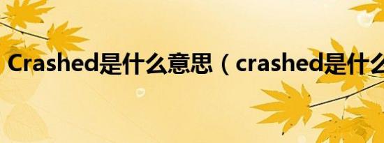 Crashed是什么意思（crashed是什么意思）
