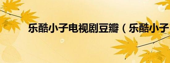 乐酷小子电视剧豆瓣（乐酷小子）