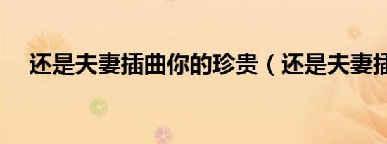 还是夫妻插曲你的珍贵（还是夫妻插曲）