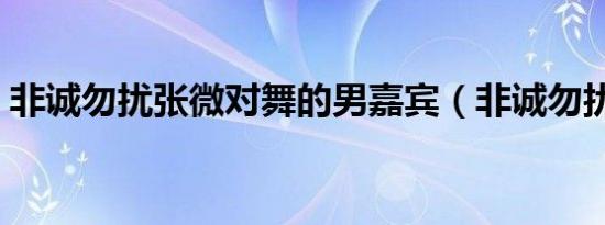 非诚勿扰张微对舞的男嘉宾（非诚勿扰张微）