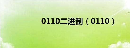 0110二进制（0110）