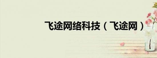 飞途网络科技（飞途网）