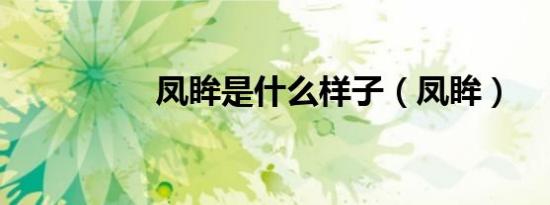 凤眸是什么样子（凤眸）