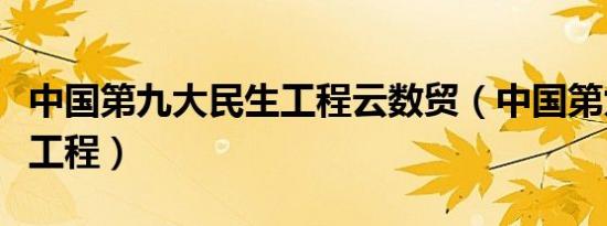 中国第九大民生工程云数贸（中国第九大民生工程）