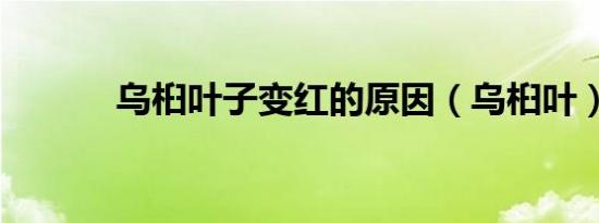 乌桕叶子变红的原因（乌桕叶）