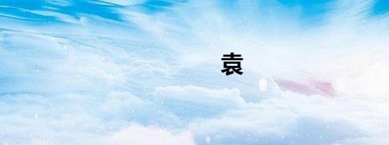 袁