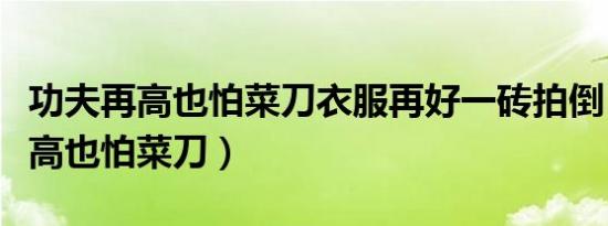 功夫再高也怕菜刀衣服再好一砖拍倒（功夫再高也怕菜刀）