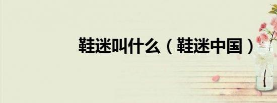鞋迷叫什么（鞋迷中国）