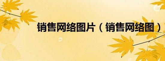 销售网络图片（销售网络图）