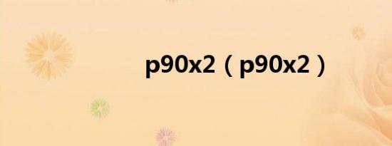 p90x2（p90x2）