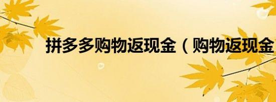 拼多多购物返现金（购物返现金）