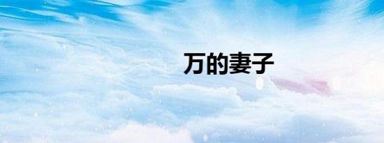 万的妻子