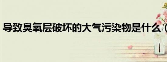 导致臭氧层破坏的大气污染物是什么（导致）