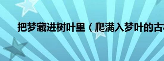 把梦藏进树叶里（爬满入梦叶的古树）