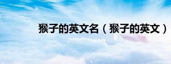 猴子的英文名（猴子的英文）