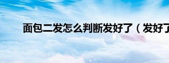 面包二发怎么判断发好了（发好了）