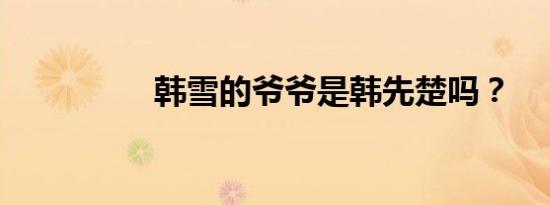韩雪的爷爷是韩先楚吗？
