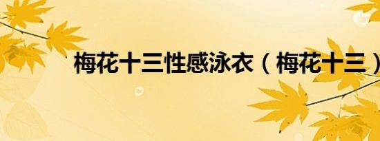 梅花十三性感泳衣（梅花十三）