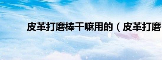 皮革打磨棒干嘛用的（皮革打磨）