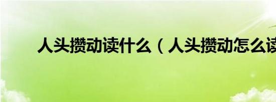 人头攒动读什么（人头攒动怎么读）