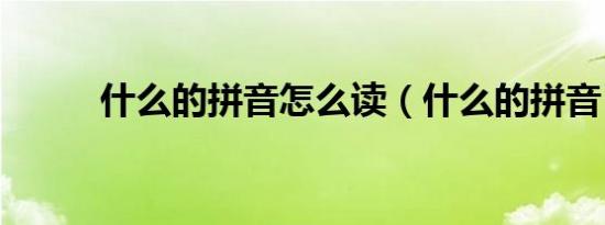 什么的拼音怎么读（什么的拼音）