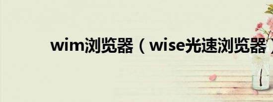 wim浏览器（wise光速浏览器）