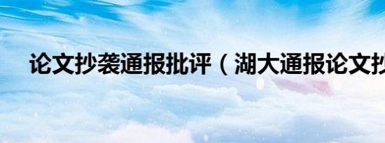 论文抄袭通报批评（湖大通报论文抄袭）
