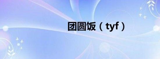 团圆饭（tyf）