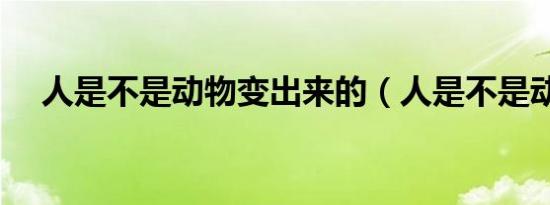 人是不是动物变出来的（人是不是动物）
