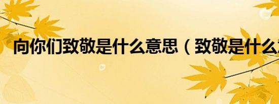 向你们致敬是什么意思（致敬是什么意思）
