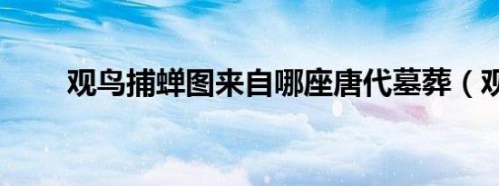 观鸟捕蝉图来自哪座唐代墓葬（观）