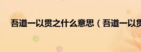 吾道一以贯之什么意思（吾道一以贯之）