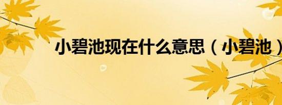 小碧池现在什么意思（小碧池）