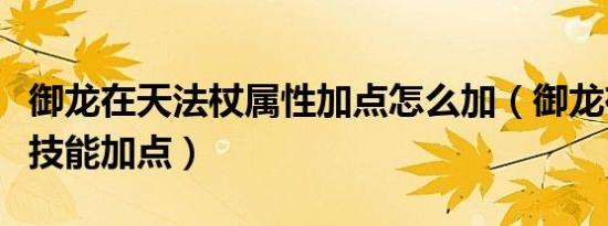御龙在天法杖属性加点怎么加（御龙在天冰法技能加点）