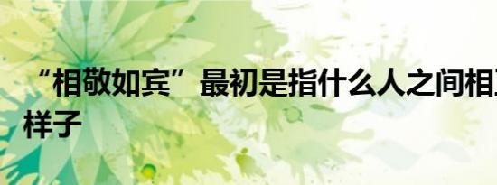 “相敬如宾”最初是指什么人之间相互尊敬的样子