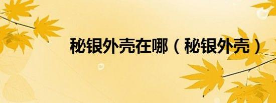 秘银外壳在哪（秘银外壳）