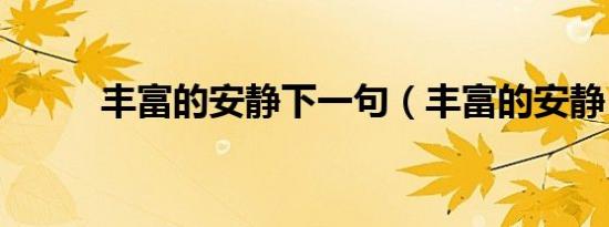 丰富的安静下一句（丰富的安静）